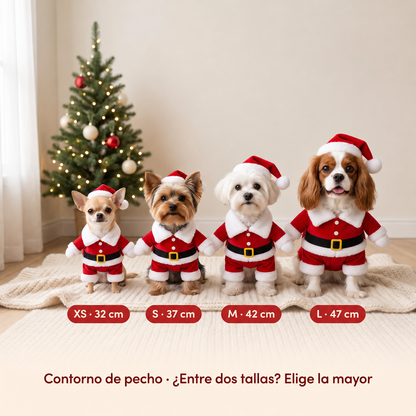 Disfraz de Papá Noel para mascotas